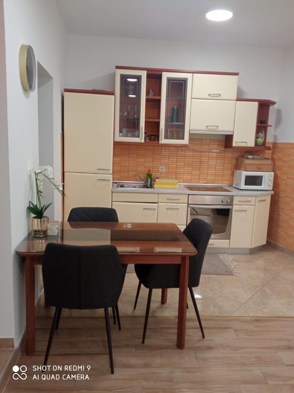 Apartmani Andelo, Tommy, Leon Bibinje Exterior photo