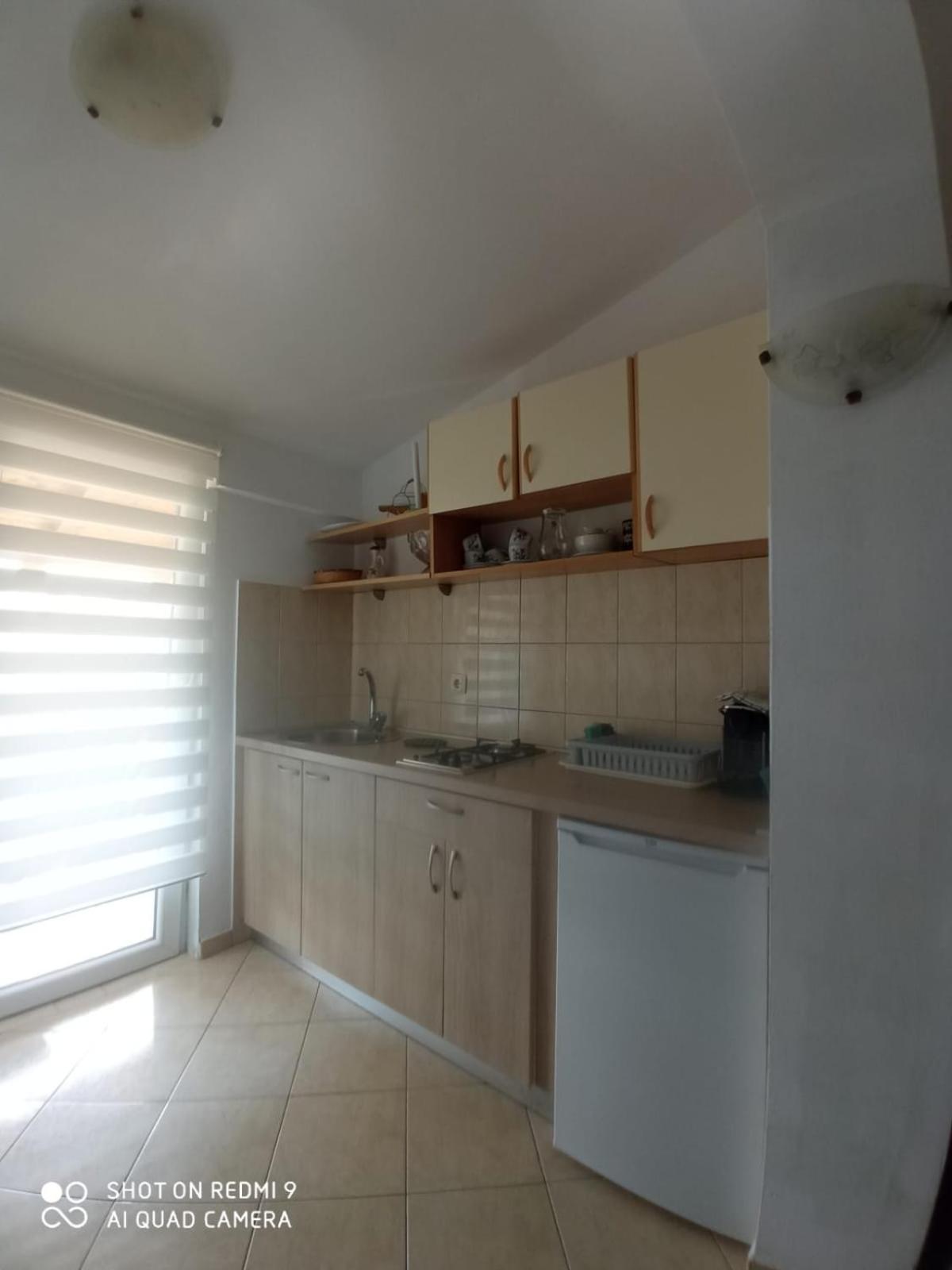 Apartmani Andelo, Tommy, Leon Bibinje Exterior photo